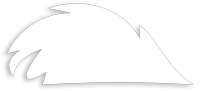 Bedford Web Design