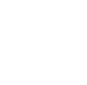 evess_logo