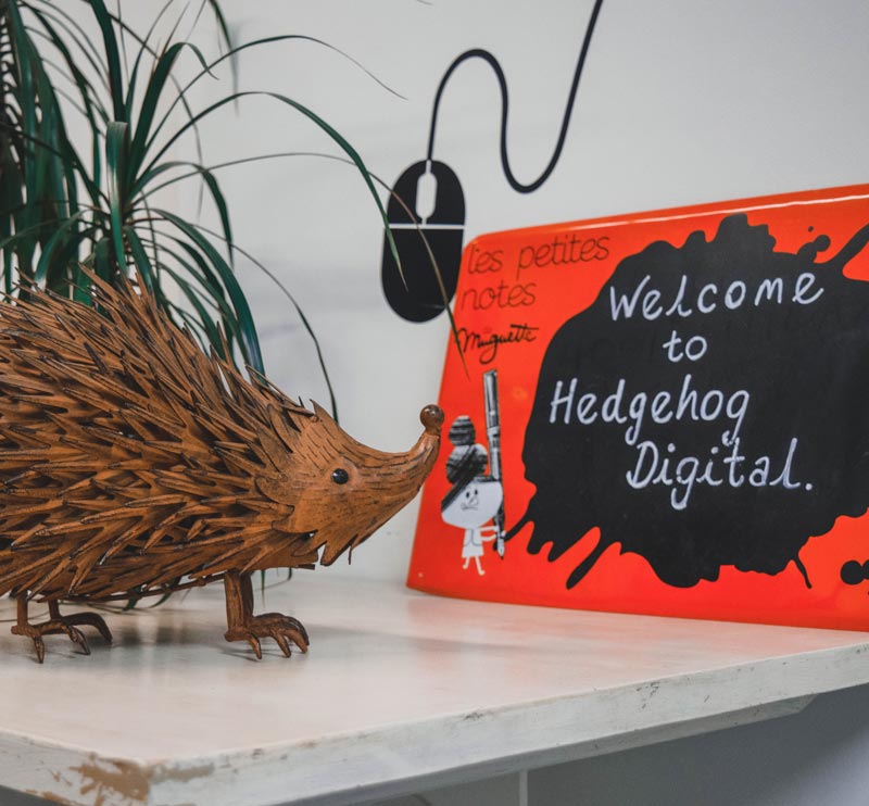 hedgehog digital office